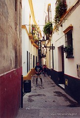 19.jpg  19
